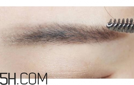 ��ü�̳�ͼ�� ��üë�ļ���ͼ��һ��ü